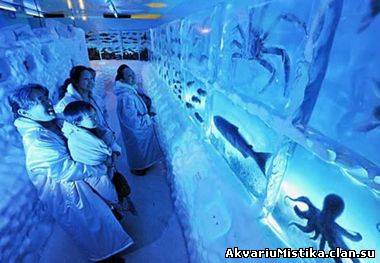 В Японии открыт ледяной аквариум