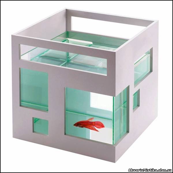 Многоэтажный аквариум